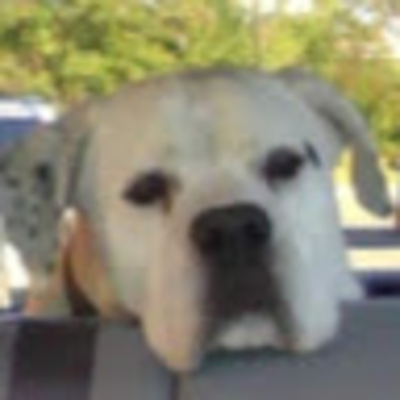 Meet your Posher, Erick - Picture 1 of 1